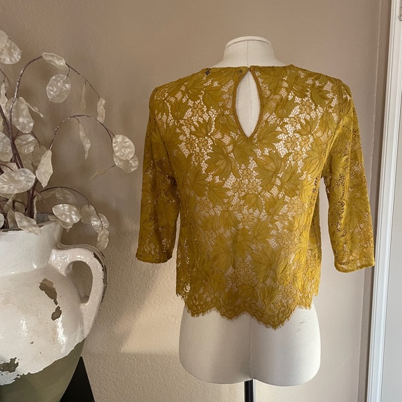 Zara lace top - Picture 4 of 7